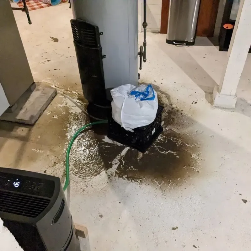 Sewage Backup Cleanup Service in Marionville, MO